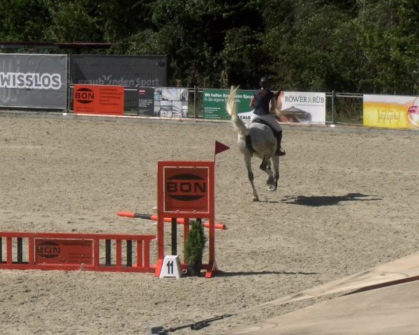 Reitturnier Maienfeld 2024
