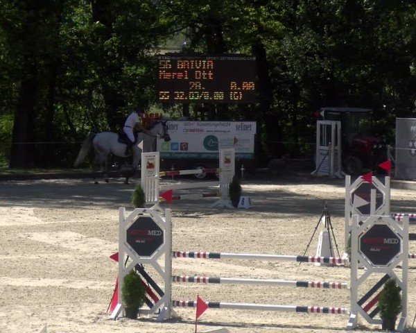 Reitturnier Maienfeld 2024