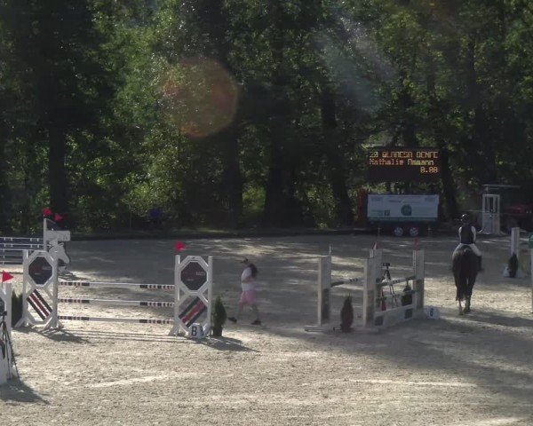 Reitturnier Maienfeld 2024