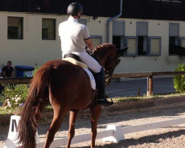 Reitturnier Leonberg 2024