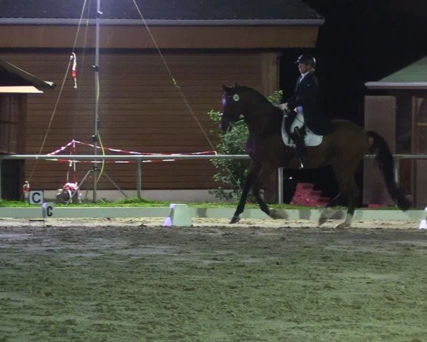 Reitturnier Dortmund-Barop 2024