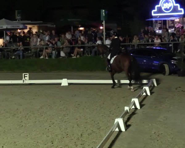 Reitturnier Dortmund-Barop 2024