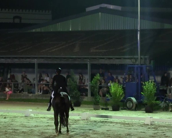 Reitturnier Dortmund-Barop 2024