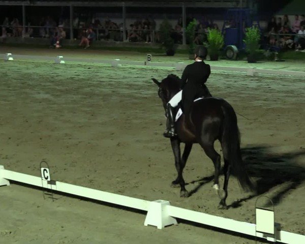 Reitturnier Dortmund-Barop 2024