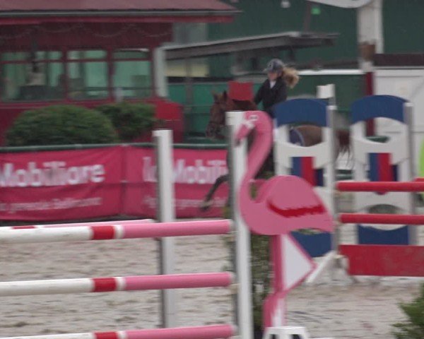 Reitturnier Giubiasco 2024