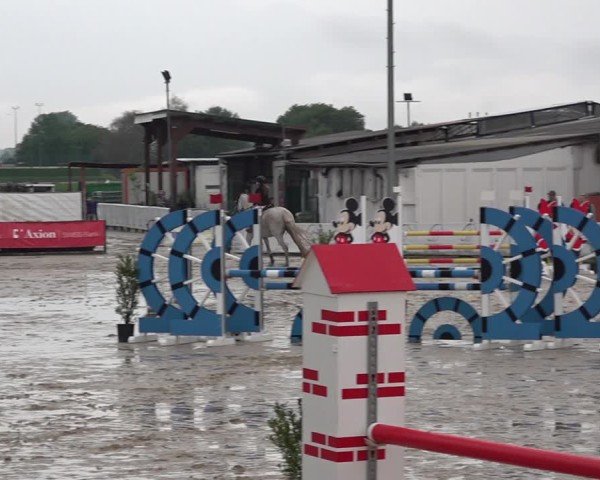 Reitturnier Giubiasco 2024