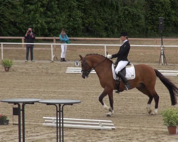 Reitturnier Soest-Ostönnen 2013