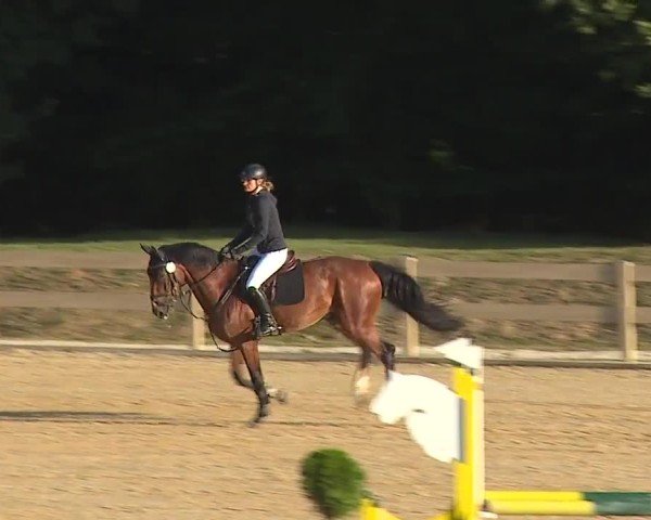 Reitturnier Tiefenhof/Opf. 2024
