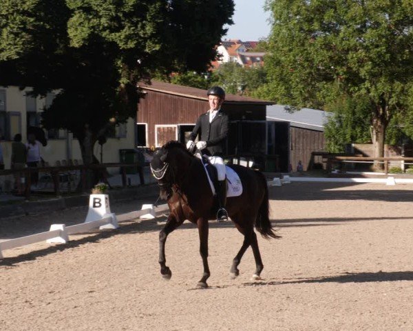 Reitturnier Leonberg 2024