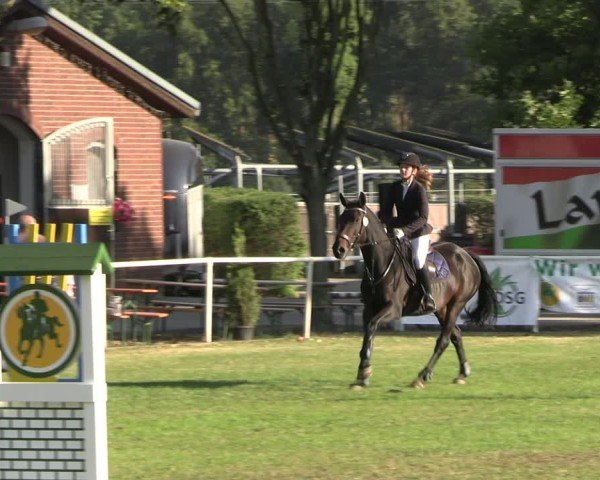 Reitturnier Münchehofe 2024