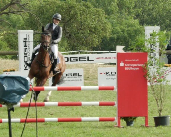 Reitturnier Leonberg 2024