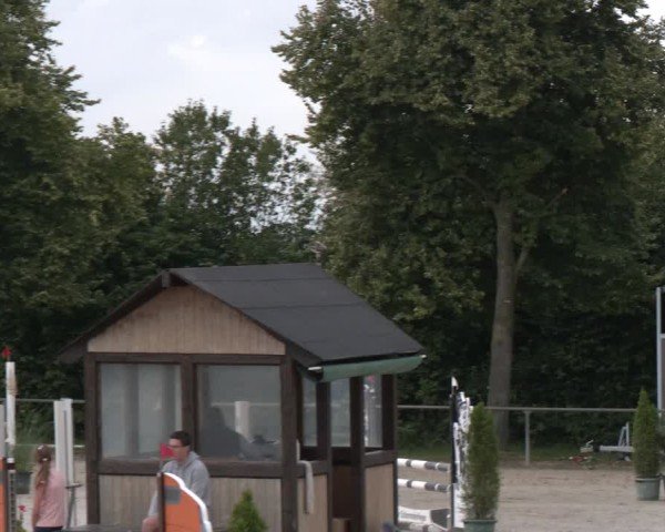 Reitturnier Appelhülsen 2024