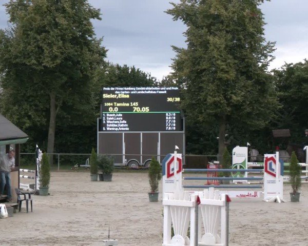 Reitturnier Appelhülsen 2024
