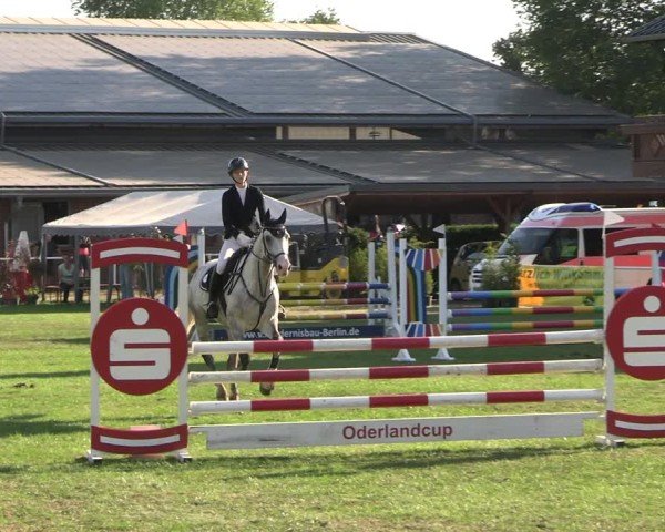 Reitturnier Münchehofe 2024
