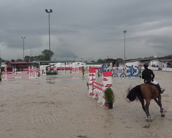 Reitturnier Giubiasco 2024