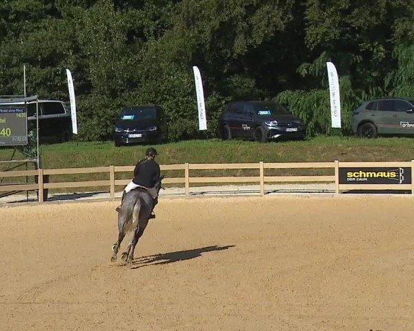 Reitturnier Tiefenhof/Opf. 2024