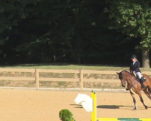 Reitturnier Tiefenhof/Opf. 2024