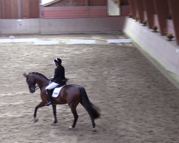 Reitturnier Dortmund-Barop 2024