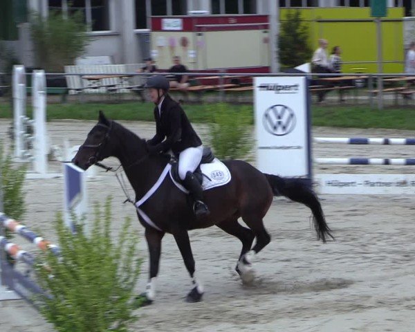 Reitturnier Dortmund-Barop 2024
