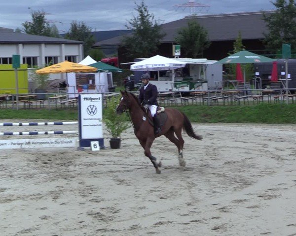 Reitturnier Dortmund-Barop 2024