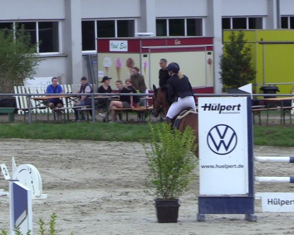 Reitturnier Dortmund-Barop 2024