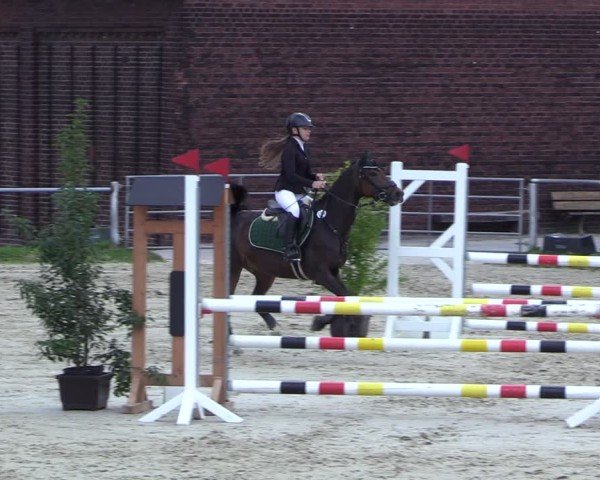 Reitturnier Dortmund-Barop 2024