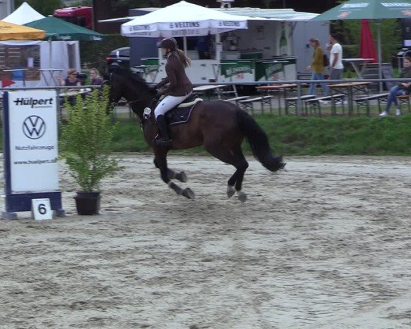 Reitturnier Dortmund-Barop 2024