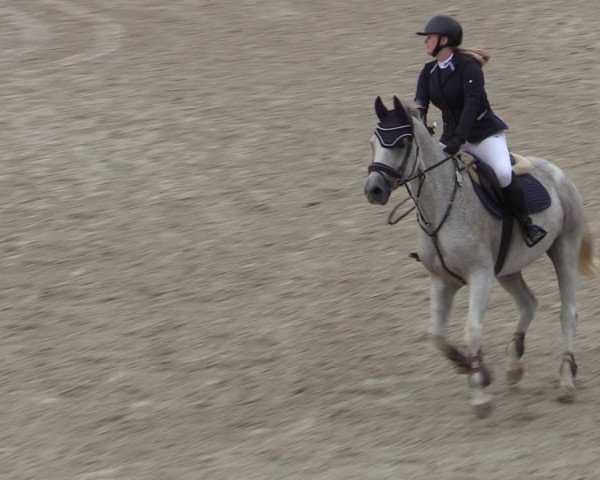 Reitturnier Leichlingen-Witzhelden 2024