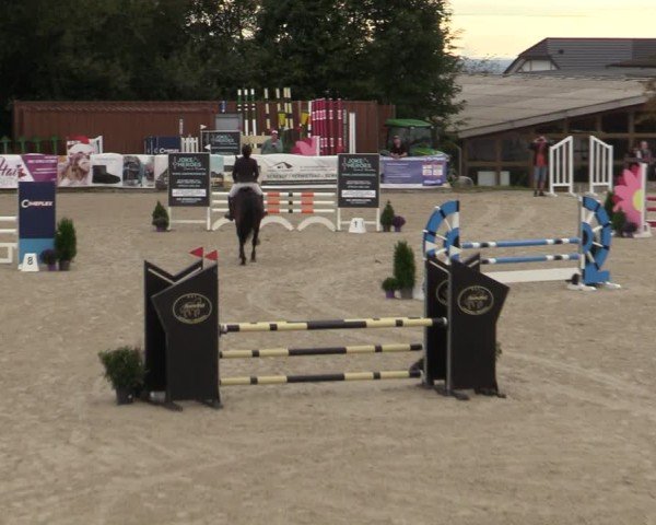 Reitturnier Leichlingen-Witzhelden 2024