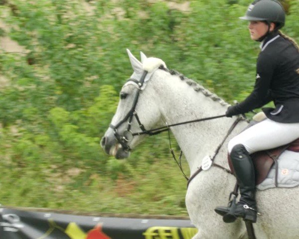 Reitturnier Leonberg 2024