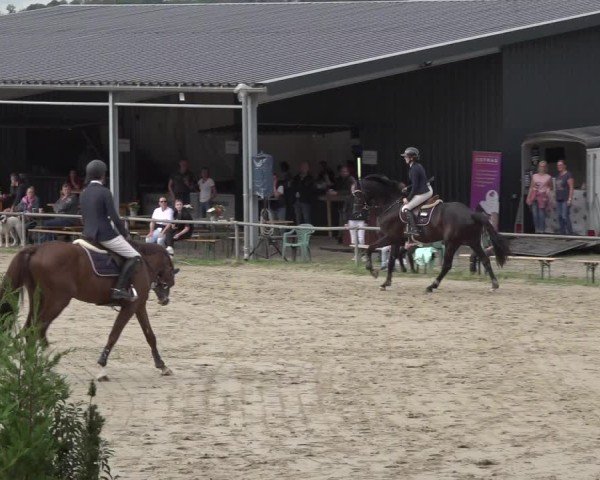 Reitturnier Meinerzhagen 2024
