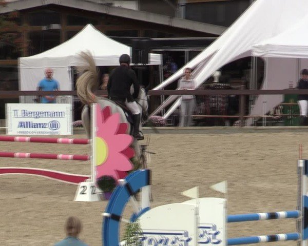 Reitturnier Leichlingen-Witzhelden 2024