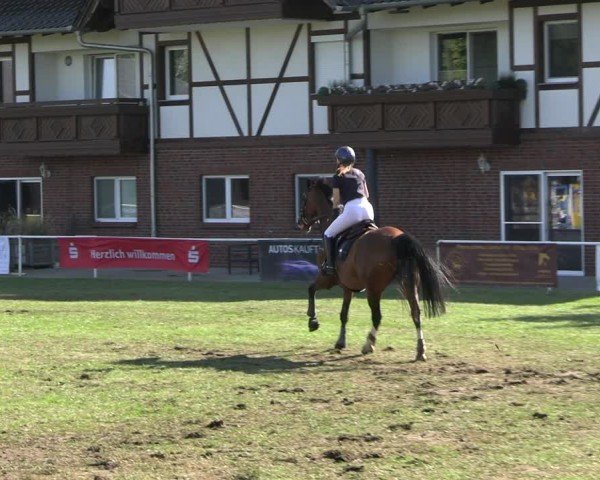Reitturnier Münchehofe 2024