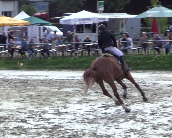Reitturnier Dortmund-Barop 2024