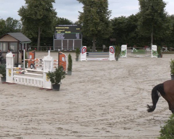 Reitturnier Appelhülsen 2024