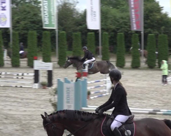 Reitturnier Meinerzhagen 2024