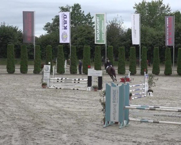 Reitturnier Meinerzhagen 2024