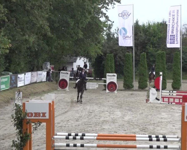 Reitturnier Meinerzhagen 2024