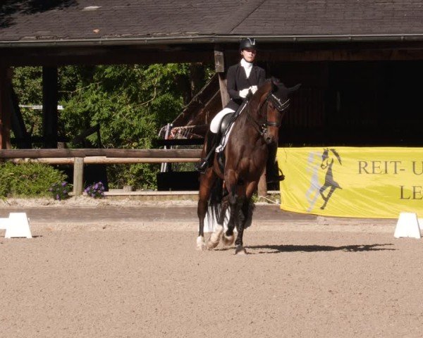 Reitturnier Leonberg 2024