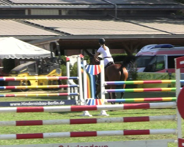 Reitturnier Münchehofe 2024