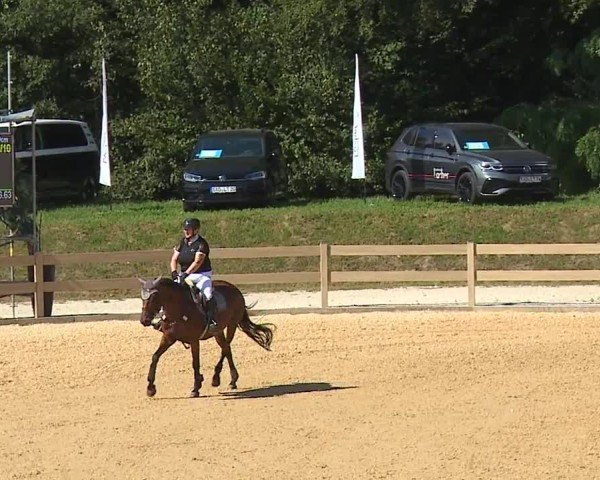 Reitturnier Tiefenhof/Opf. 2024