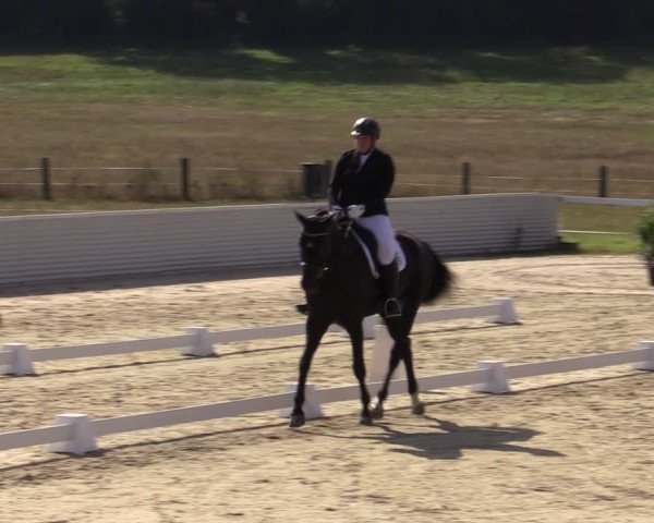 Reitturnier Bad Schmiedeberg 2024