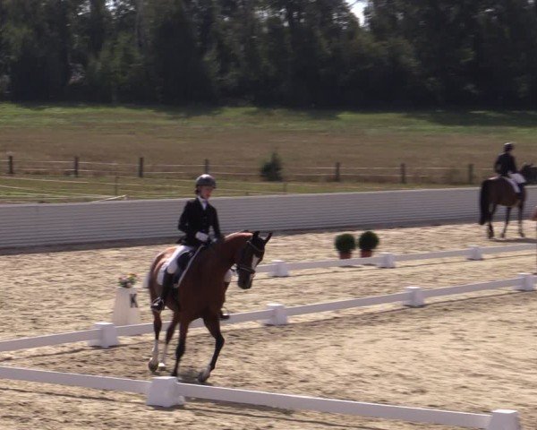 Reitturnier Bad Schmiedeberg 2024