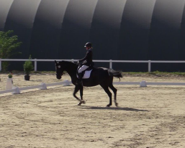 Reitturnier Bad Schmiedeberg 2024