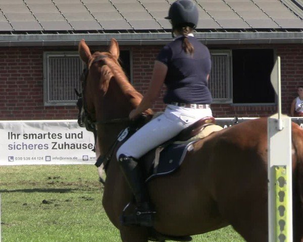 Reitturnier Münchehofe 2024