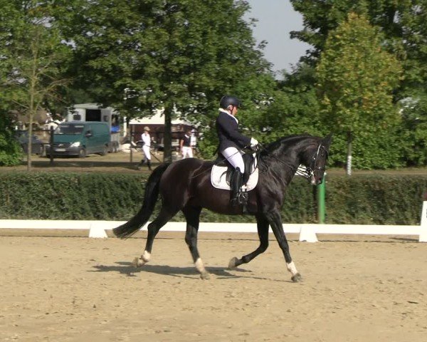 Reitturnier Westeregeln 2024