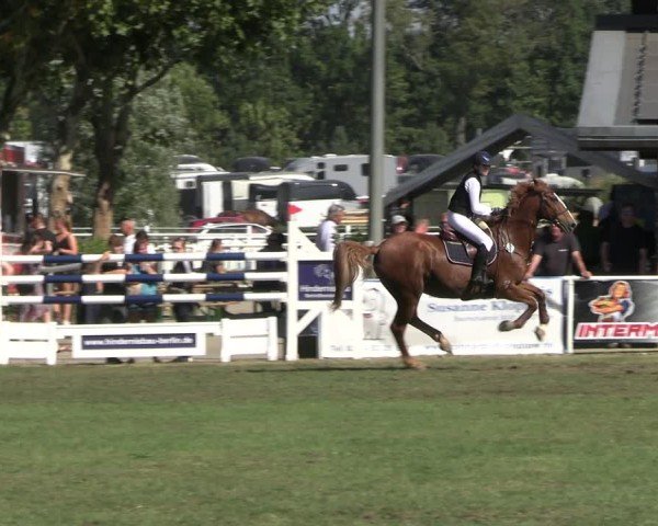 Reitturnier Münchehofe 2024