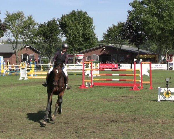 Reitturnier Münchehofe 2024