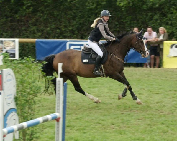 Reitturnier Leonberg 2024