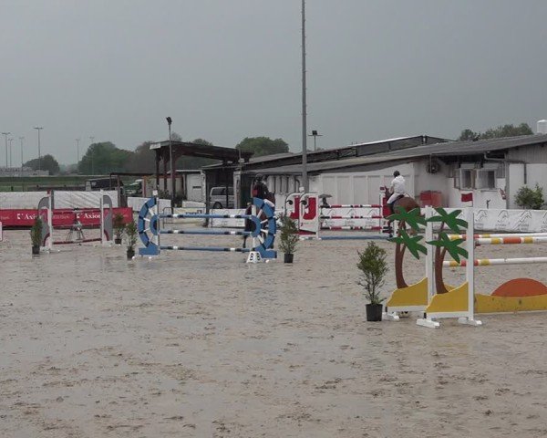 Reitturnier Giubiasco 2024